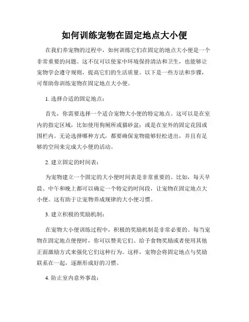 如何训练宠物在固定地点大小便