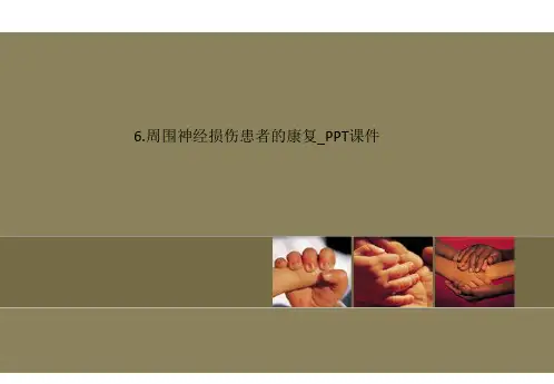 6.周围神经损伤患者的康复_PPT课件