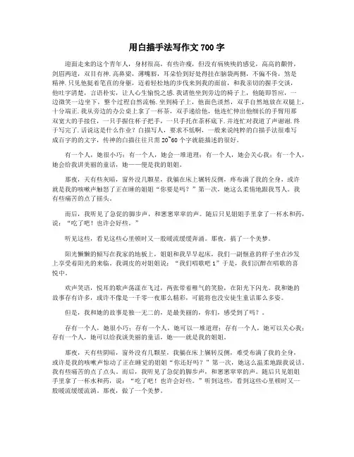 用白描手法写作文700字