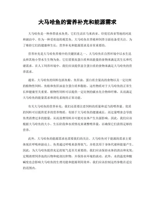 大马哈鱼的营养补充和能源需求
