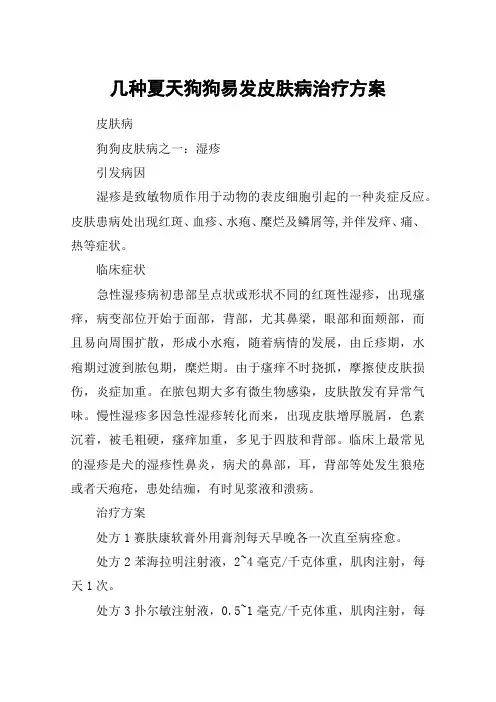 几种夏天狗狗易发皮肤病治疗方案