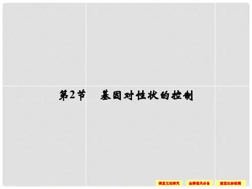 高中生物 4.2基因对性状的控制课件 新人教版必修2