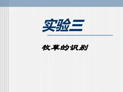 03实验三牧草的识别2008 饲草生产学教学课件