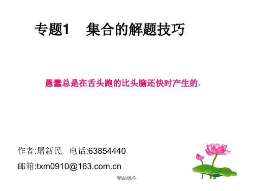 专题1    集合的解题技巧(精编课件).ppt