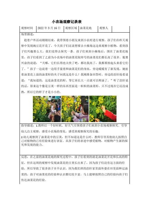 第5周小农场观察记录表(2)