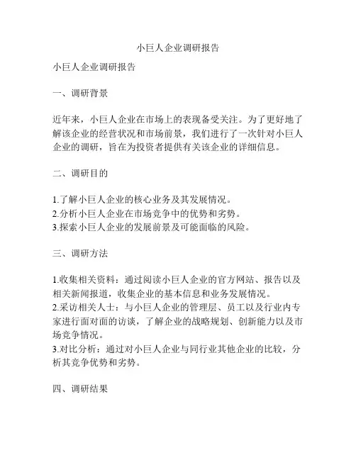 小巨人企业调研报告