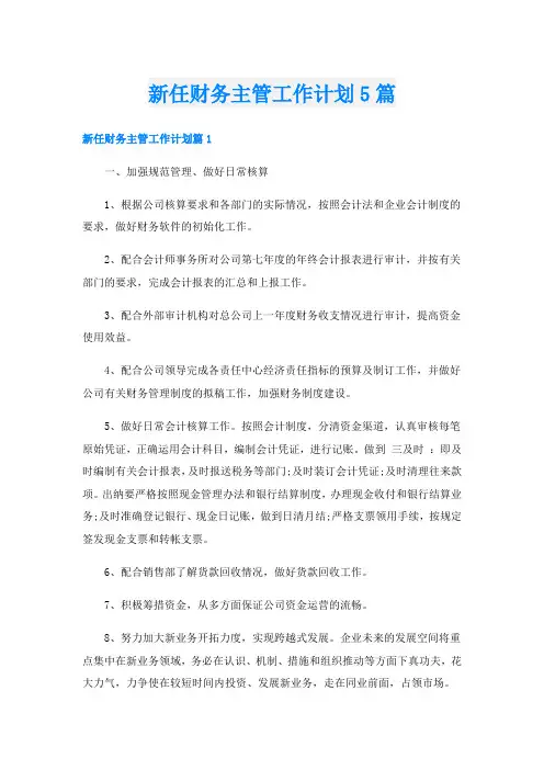 新任财务主管工作计划5篇