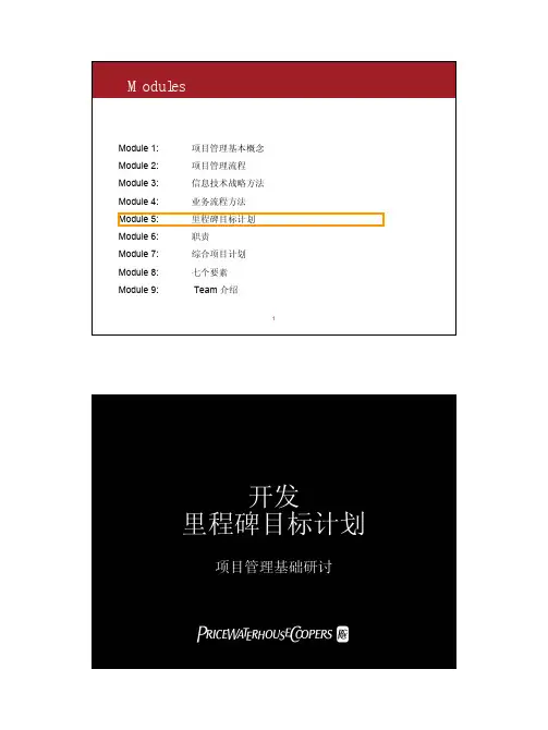 普华永道项目管理——里程碑目标计划 