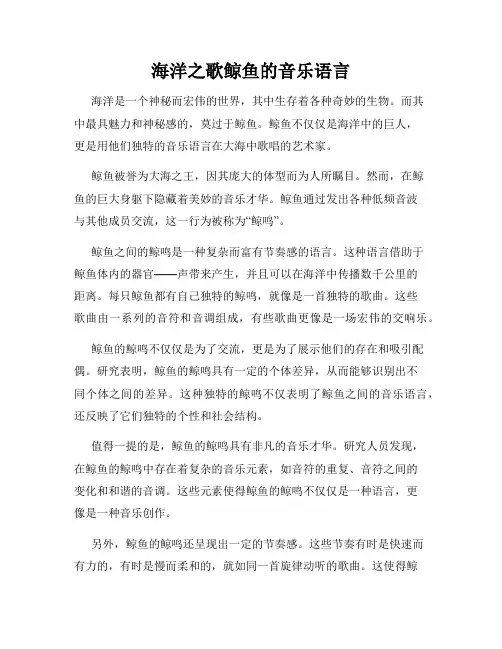 海洋之歌鲸鱼的音乐语言