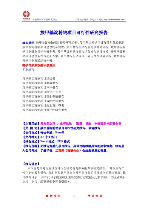 羧甲基淀粉钠项目可行性研究报告