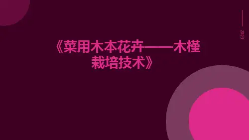 菜用木本花卉——木槿栽培技术