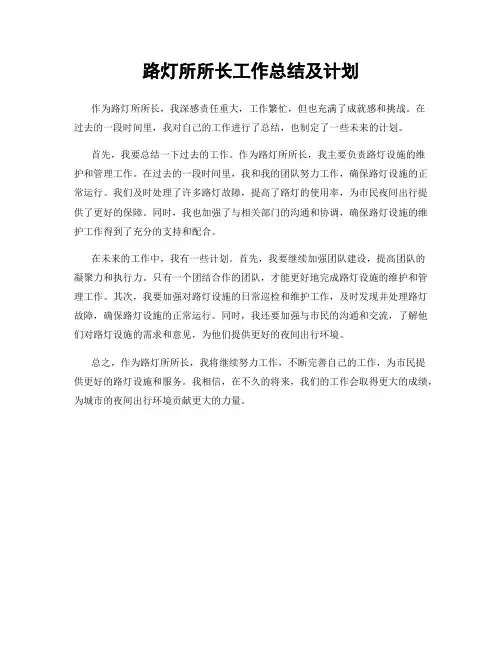 路灯所所长工作总结及计划