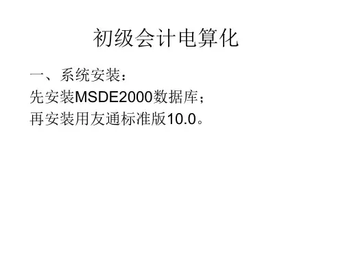 初级会计电算化1