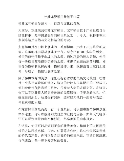 桂林龙脊梯田导游词三篇
