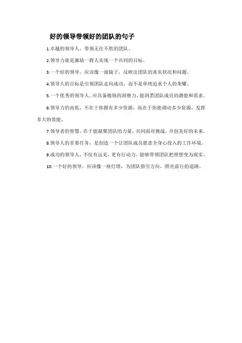 好的领导带领好的团队的句子
