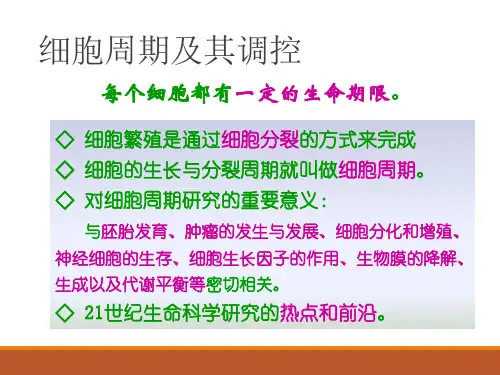 生物：细胞周期及其调控