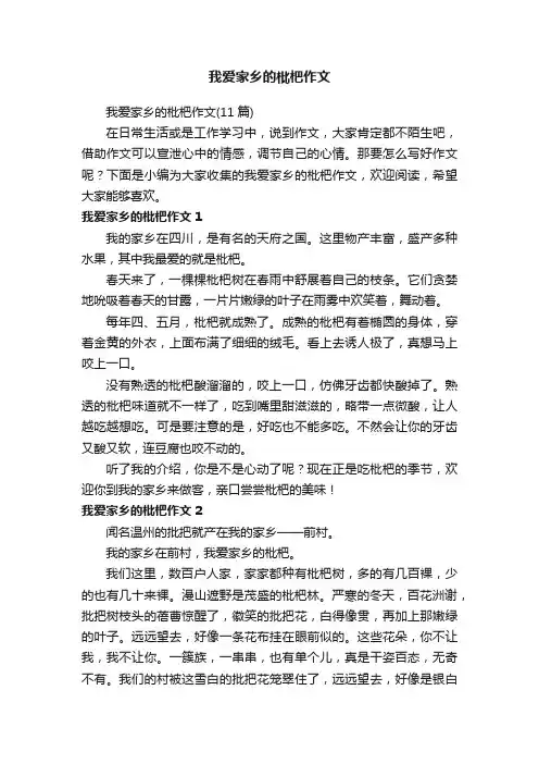 我爱家乡的枇杷作文（11篇）