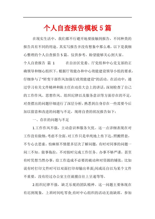 个人自查报告模板5篇