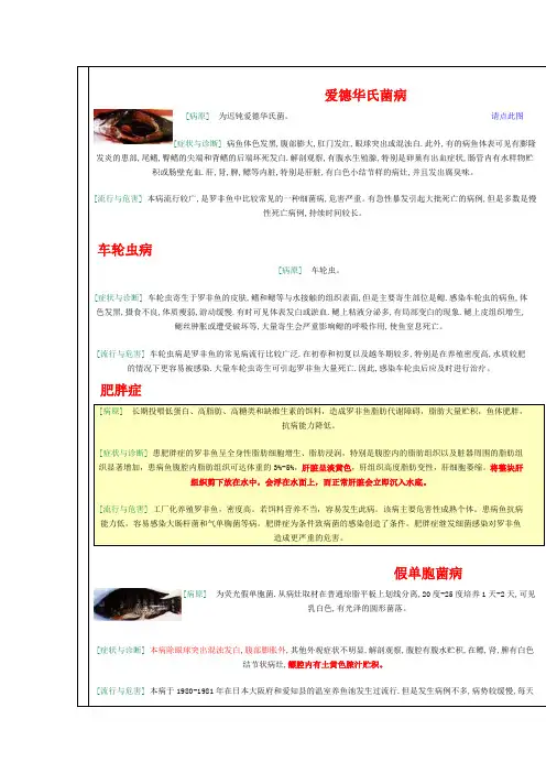 罗非鱼的疾病