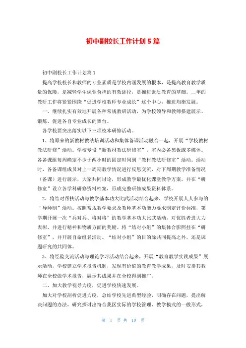 初中副校长工作计划5篇