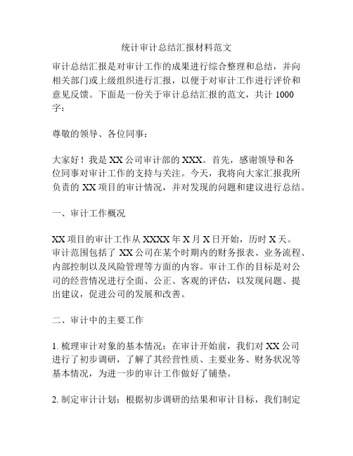 统计审计总结汇报材料范文