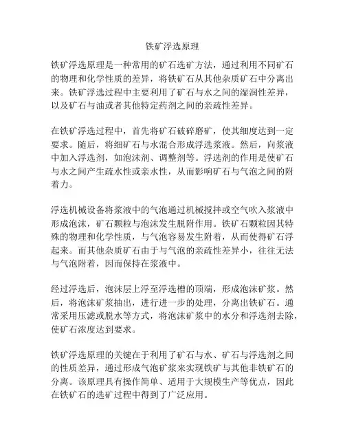 铁矿浮选原理