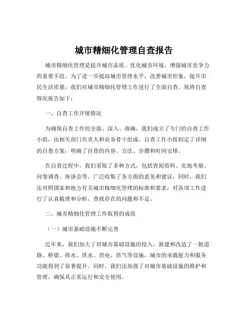 城市精细化管理自查报告