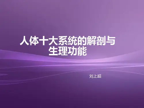 人体十大系统的解