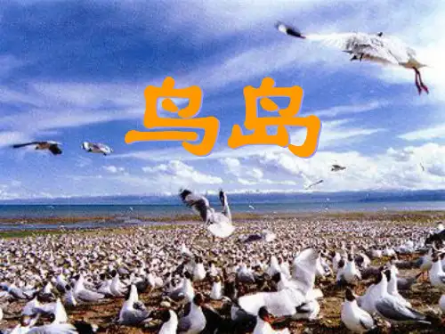 苏教版二年级语文下册《鸟岛》精品课件