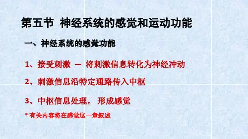 5 第五节 神经系统的感觉和运动功能