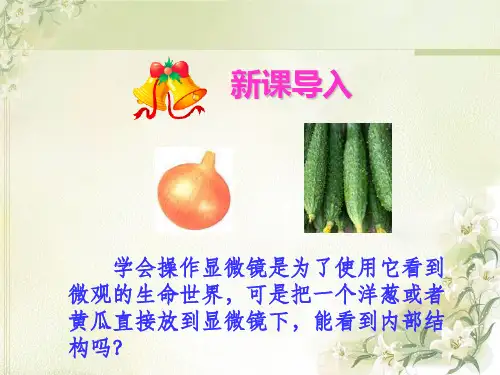《观察植物细胞》课件(鲁科版(五四制))