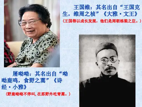 诗经两首《关雎》《蒹葭》