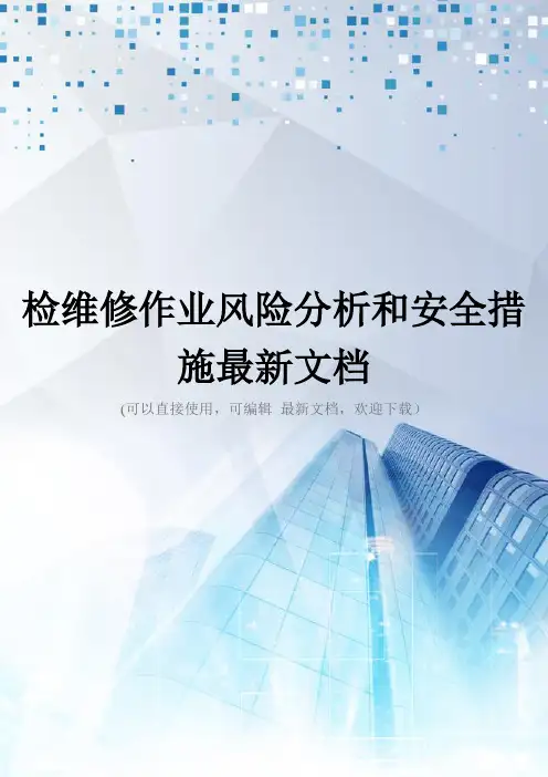 检维修作业风险分析和安全措施最新文档