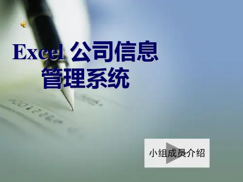 Excel公司信息管理系统介绍