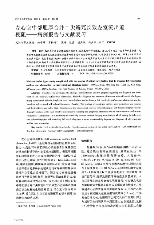 左心室中部肥厚合并二尖瓣冗长致左室流出道梗阻——病例报告与文献复习