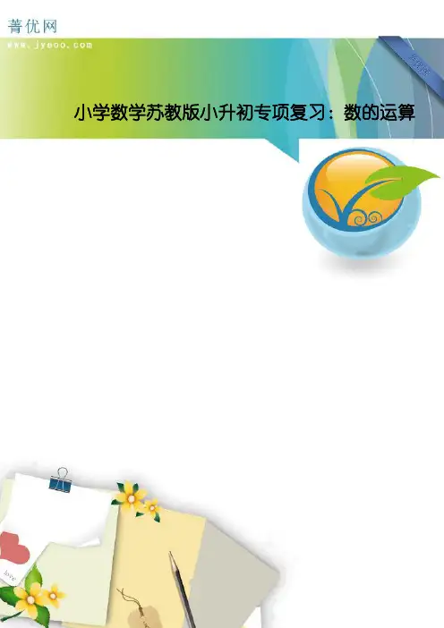小学数学苏教版小升初专项复习：数的运算