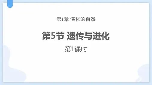 遗传与进化课件---浙教版科学九年级下册