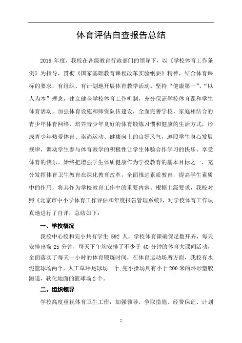 小学体育工作评估自查报告总结
