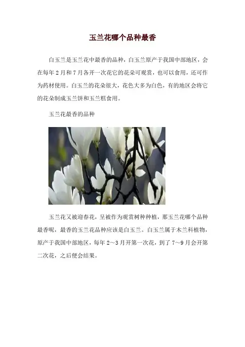 玉兰花哪个品种最香