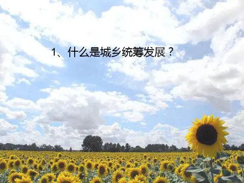 城乡统筹发展
