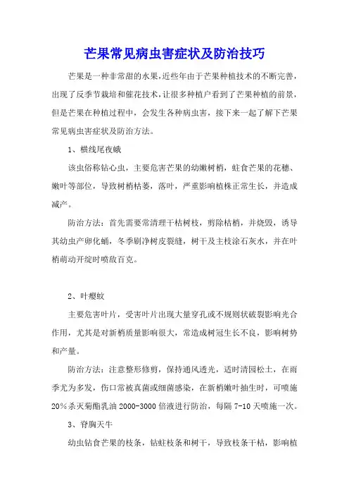 芒果常见病虫害症状及防治技巧