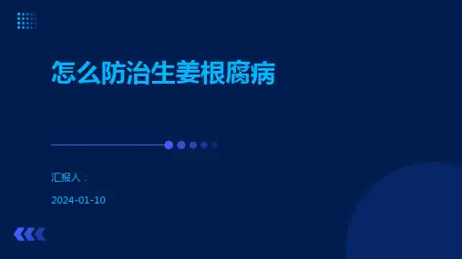怎么防治生姜根腐病