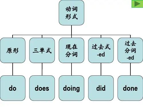 英语助动词PPT课件
