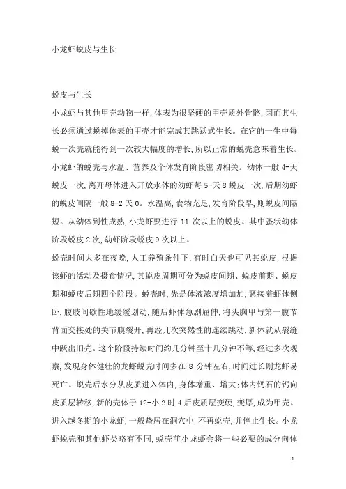 小龙虾蜕皮与生长