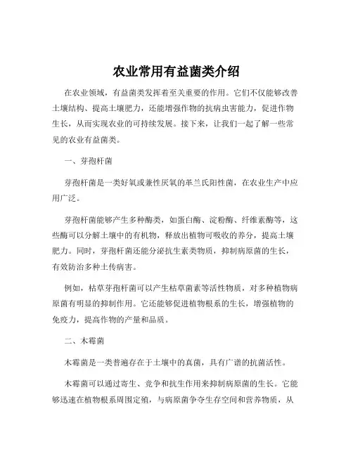 农业常用有益菌类介绍