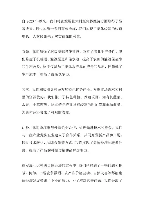 2023年发展壮大村级集体经济总结