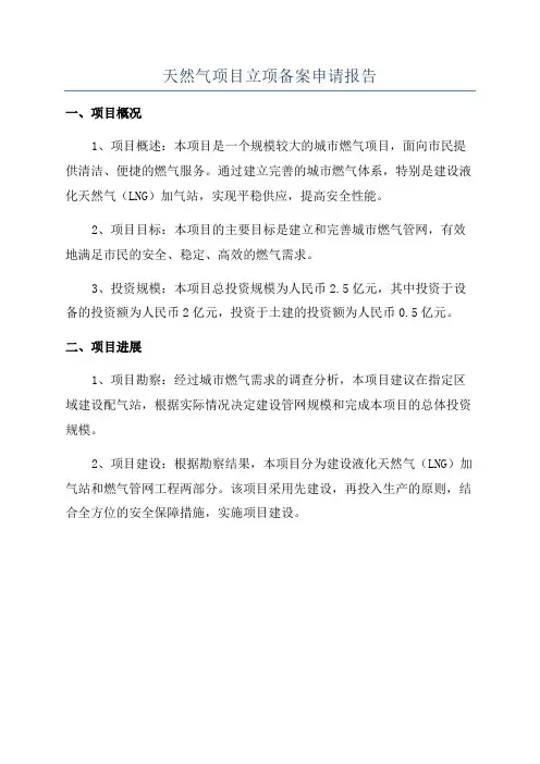 天然气项目立项备案申请报告