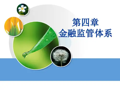 金融监管第四章_金融监管体制