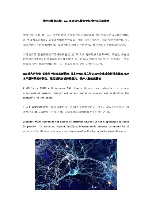 神经元修复药物,nmn重大研究修复受损神经元的新策略