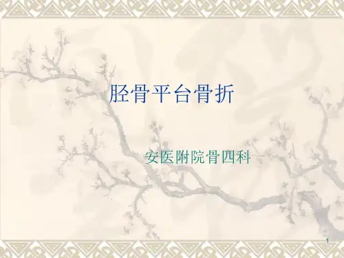 胫骨平台骨折最好的ppt课件